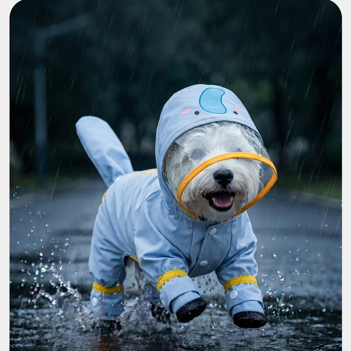 Carrot Waterproof Dog Raincoat