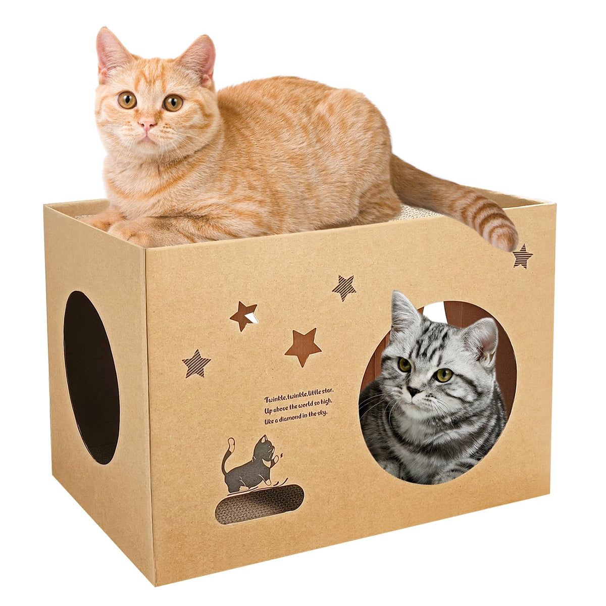 Ginger cat resting on top of The Cat Retreat, a cardboard cat house with star cut-outs